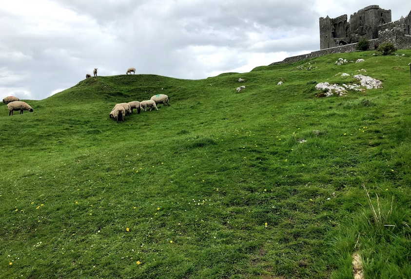 Rock of Cashel